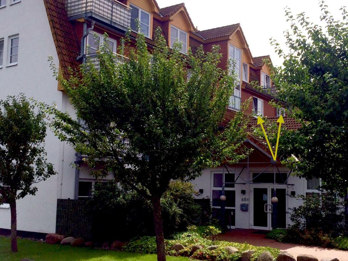 Apartment Neptun Im Immenbarg